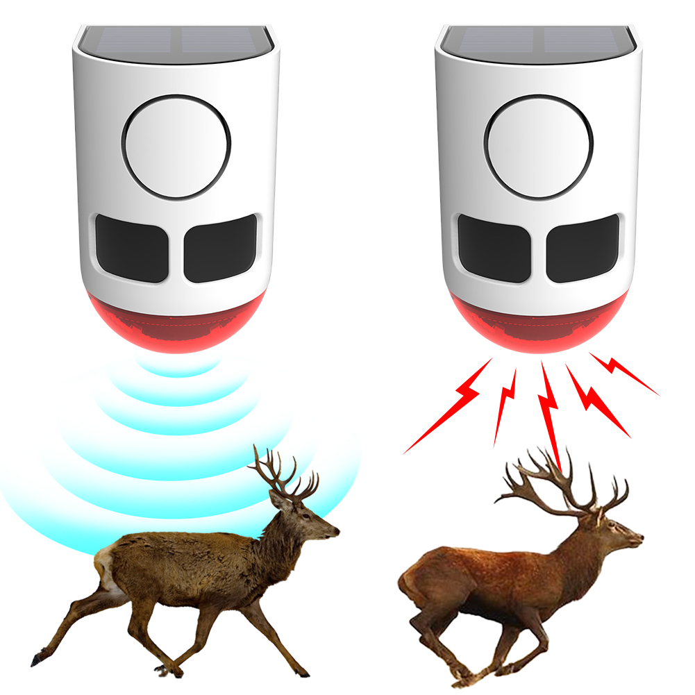 Alarma Solar con Sensor de Mov - Home Security Lights Outdoors reseña y precio